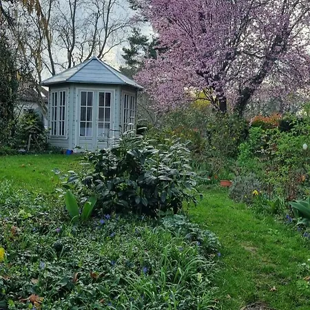Cozy Bedroom And Study With Terrace *